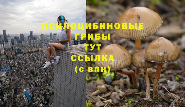 MESCALINE Горнозаводск