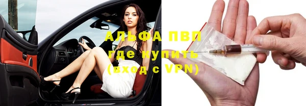гашик Горно-Алтайск