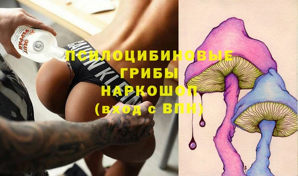 гашик Горно-Алтайск